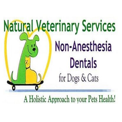 Non-Anesthesia Dental pet supplies