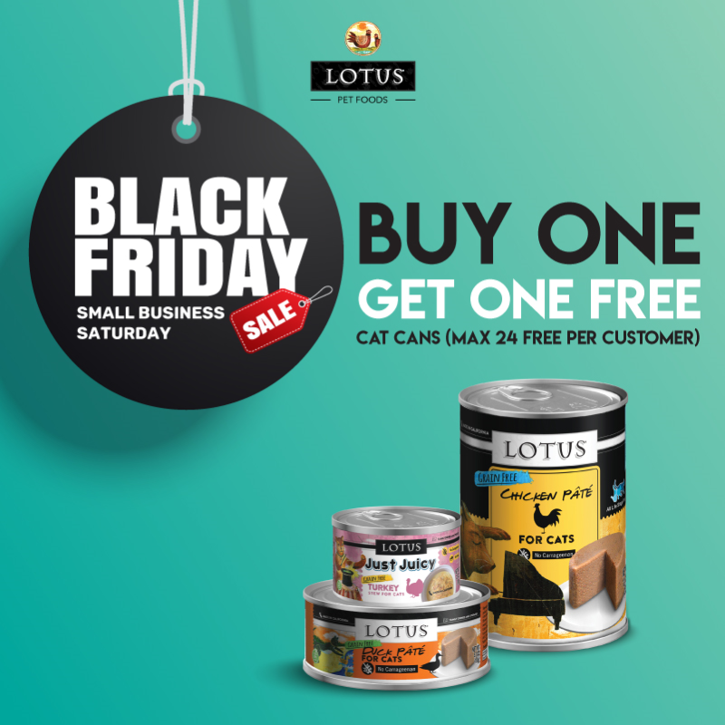 Lotis Cat Can Black Friday & Small Business Saturday 2021