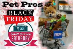 black friday & small business saturday 2021