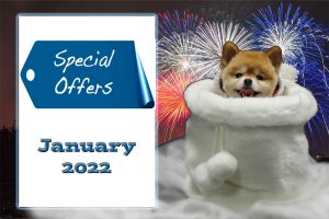 January 2022 special offers