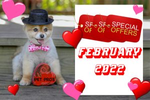 February 2022 Special Offers