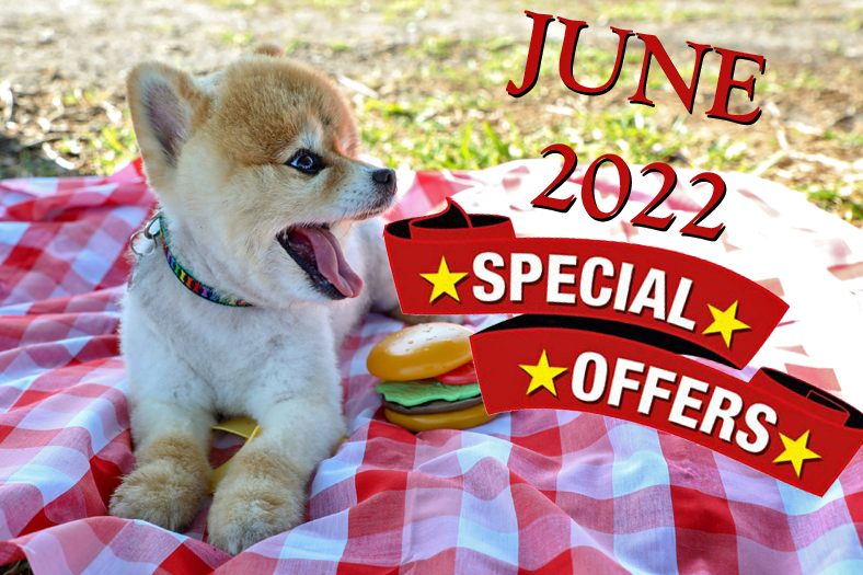 JUNE 2022 SPECIAL OFFERS