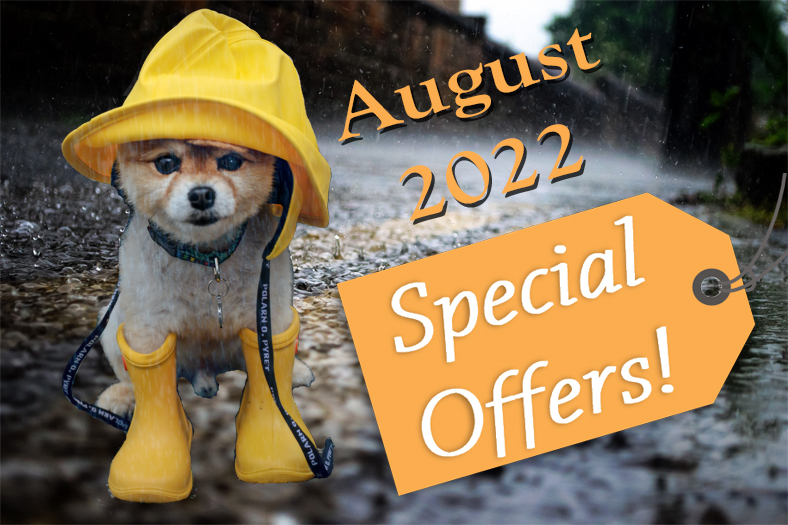 You are currently viewing August 2022 Special Offers
