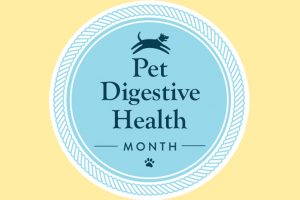 Pet Digestive Health Month