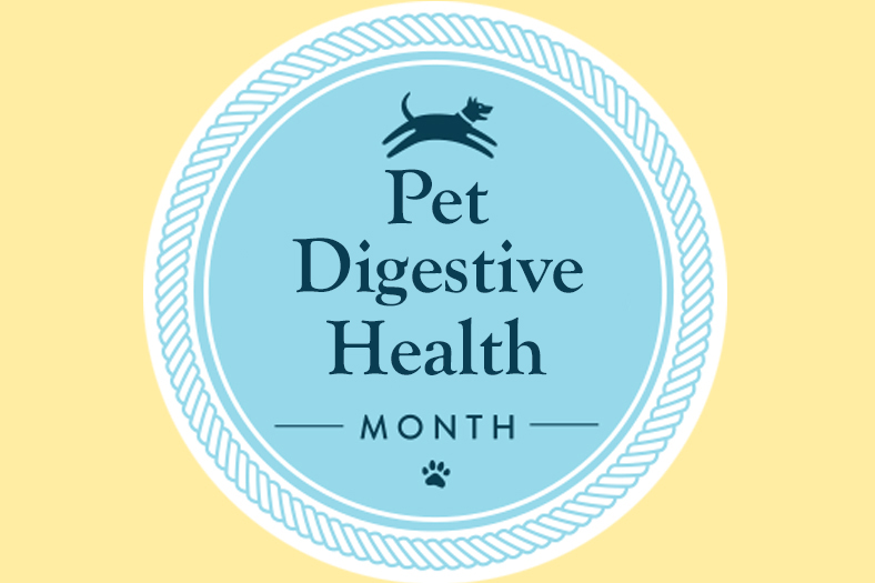 Pet Digestive Health Month
