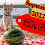 September 2022 Special Offers
