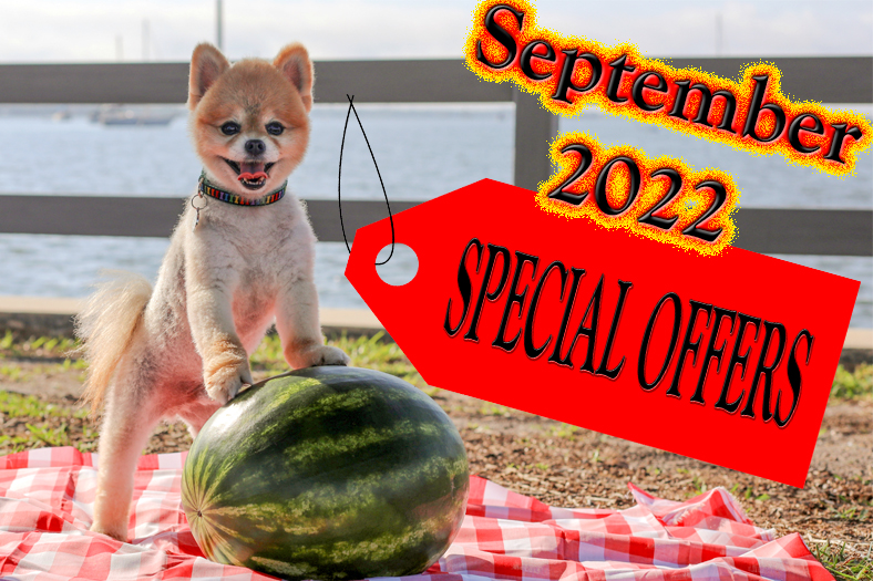 You are currently viewing September 2022 Special Offers