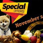 November 2022 Special Offers