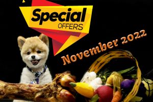November 2022 Special Offers