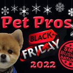 Black Friday & Small Business Saturday 2022