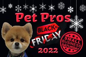 Read more about the article Black Friday & Small Business Saturday 2022